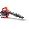 CRAFTSMAN Gas Powered Leaf Blower, Handheld Gas Blower, 200MPH, 25cc, 2-Cycle (B2000)