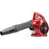 CRAFTSMAN Gas Powered Leaf Blower, Handheld Gas Blower, 200MPH, 25cc, 2-Cycle (B2000)