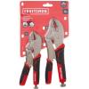 CRAFTSMAN Locking Pliers, 2Piece Fast Release Set (CMHT81727)