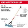 CRAFTSMAN 2-Piece Raking Set with Lawn & Thatching Rakes, Wood Handles with Cushion Grips, for Leaves, Dethatching, Dead Grass, Cultivating