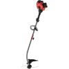 CRAFTSMAN Gas Powered WEEDWACKER, Curved Shaft String Trimmer, TrimmerPlus Attachment Compatible, 25cc, 2-Cycle (WC2200)(WC2200)