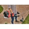 CRAFTSMAN Gas Powered WEEDWACKER, Curved Shaft String Trimmer, TrimmerPlus Attachment Compatible, 25cc, 2-Cycle (WC2200)(WC2200)