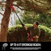 CRAFTSMAN Pole Saw, Pole Saws for Tree Trimming, Cordless V20 Tool-Only Tree Trimmer, Up to 14 Ft Extended Reach (CMCCSP20B)(Tool Only)
