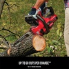 CRAFTSMAN V20 RP Cordless Chainsaw, Powerful and Lightweight, 12 Inch, 5Ah Battery and Charger Included (CMCCS630P1)(4Ah Chainsaw Kit)